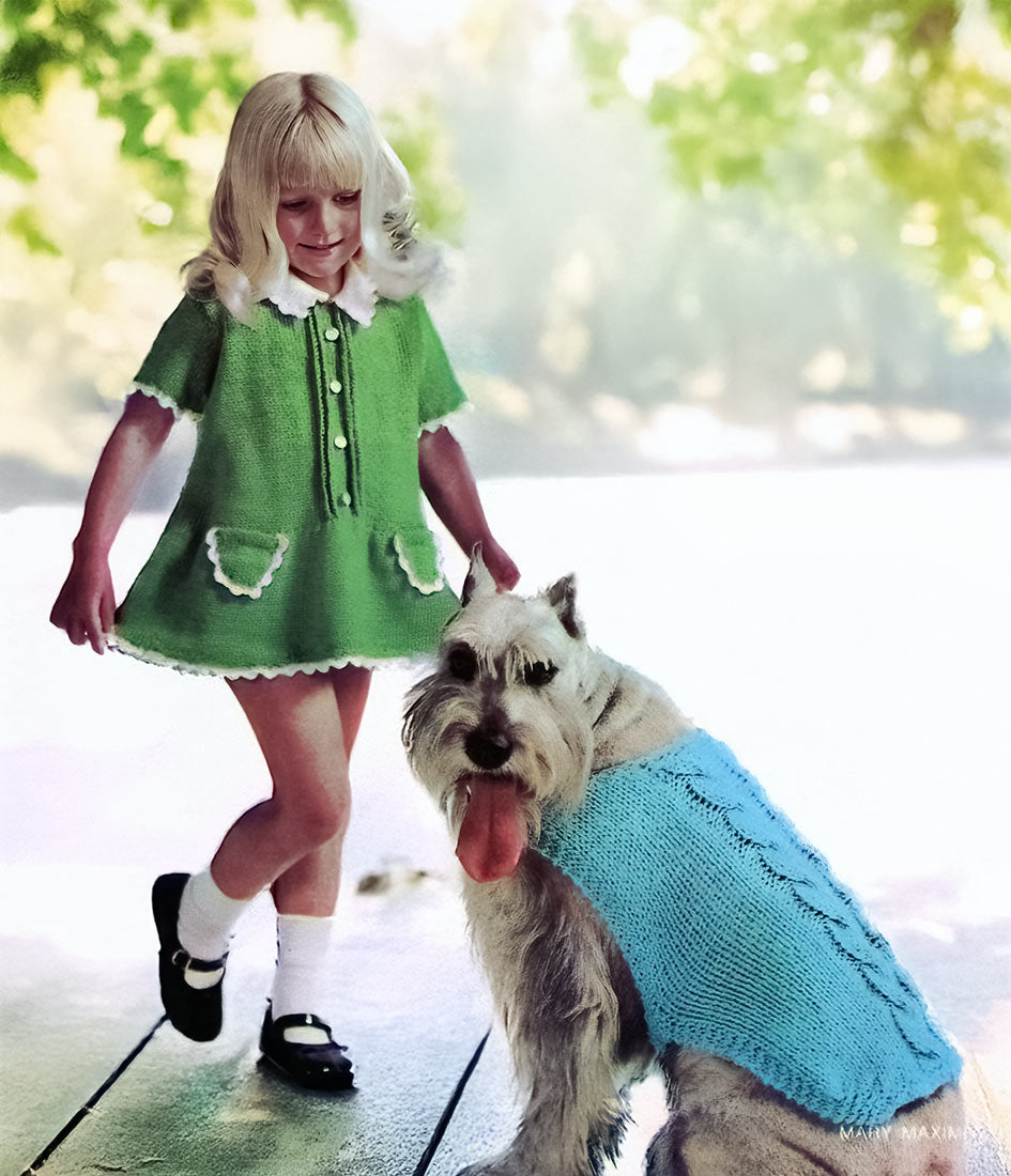 Doggie Windbreaker With Cables Pattern