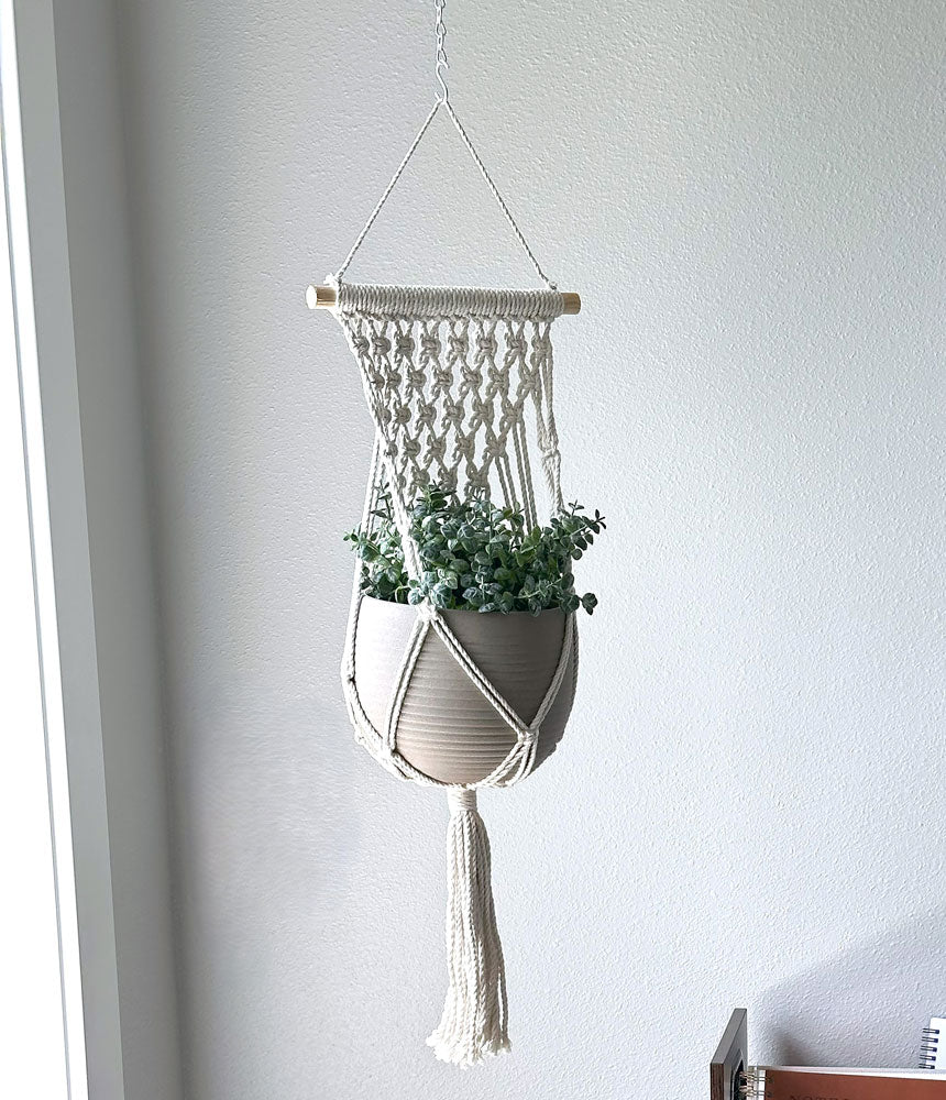 Hammock Macrame Plant Hanger