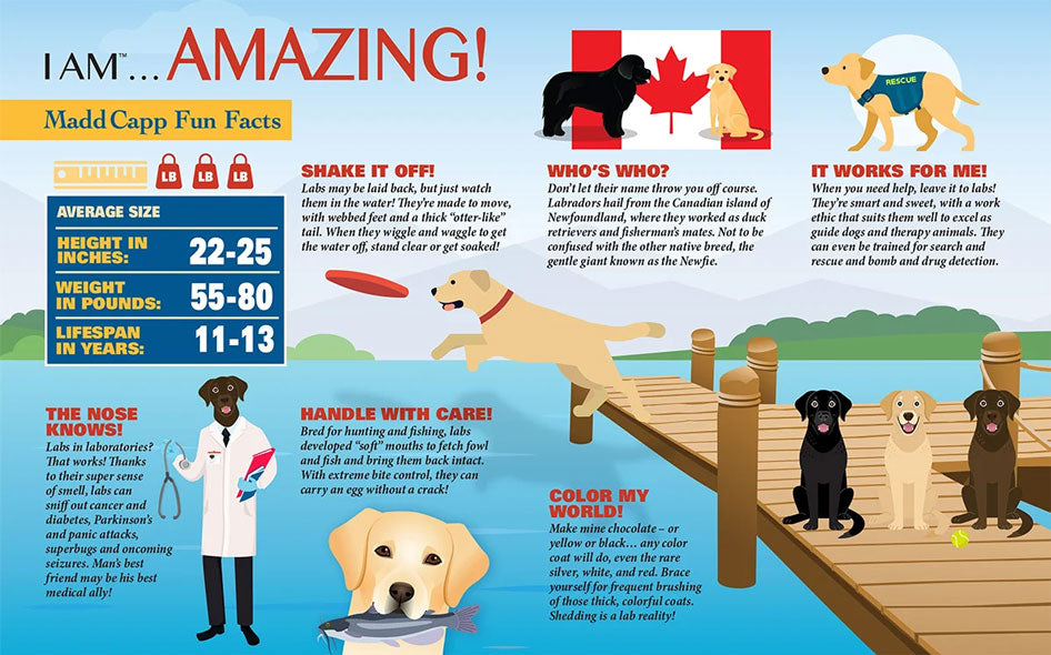 I Am Lab Jigsaw Puzzle
