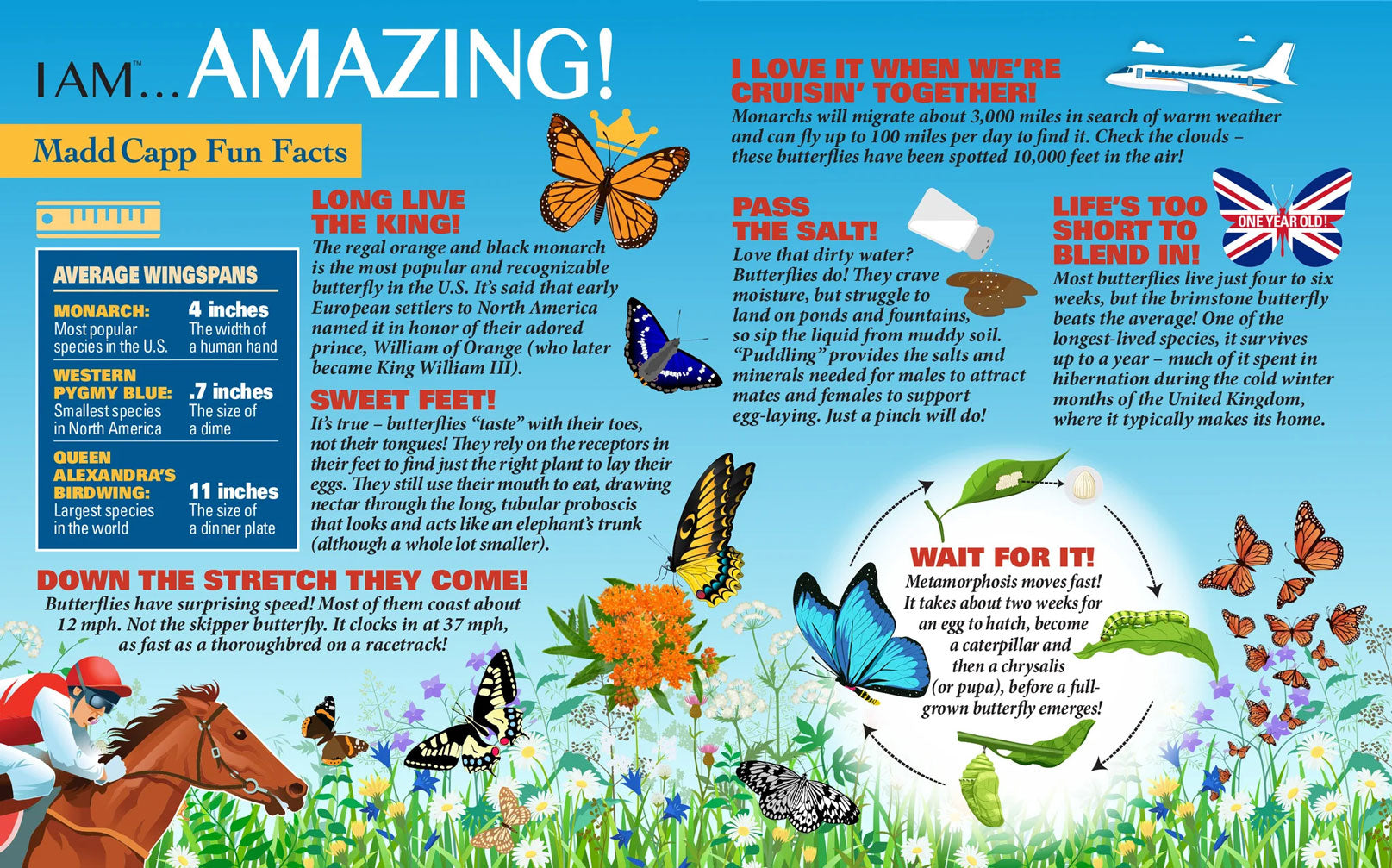 I Am Butterfly Jigsaw Puzzle
