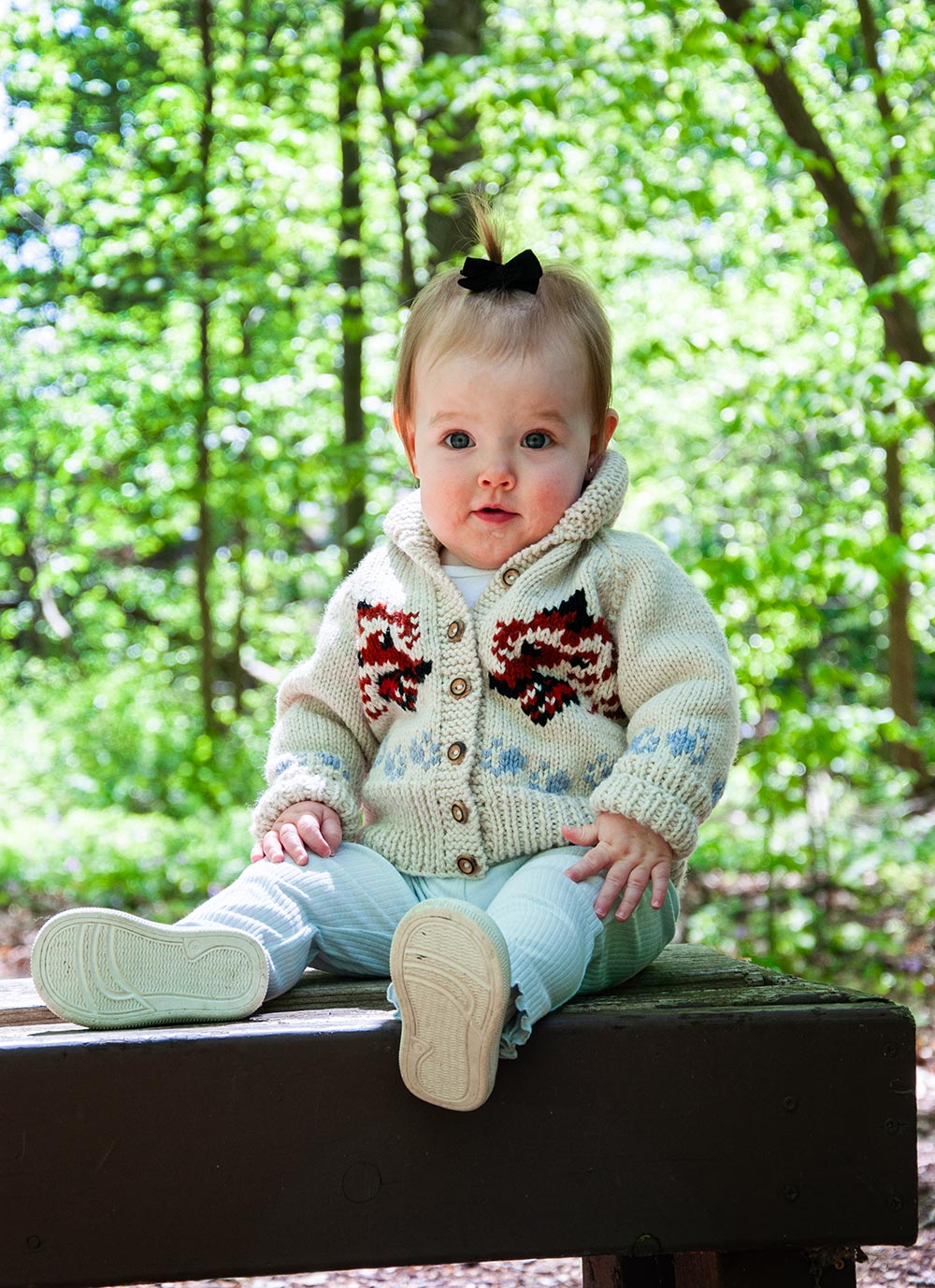 Child's Wolf Cardigan Knit Kit | Project Hail Mary Fox Sweater