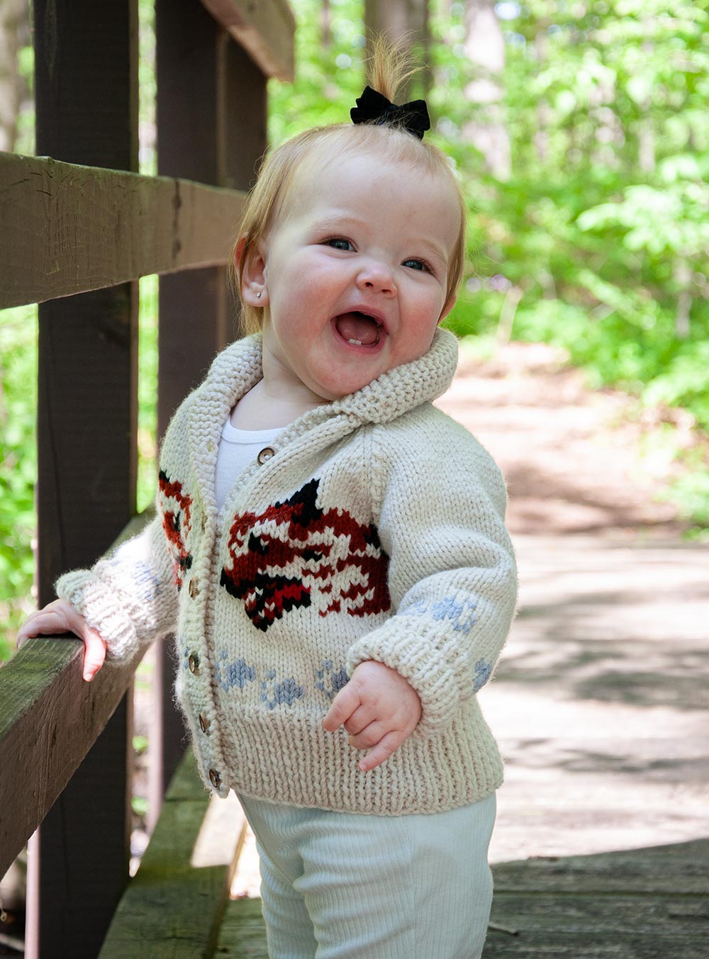 Child's Wolf Cardigan Knit Kit | Project Hail Mary Fox Sweater