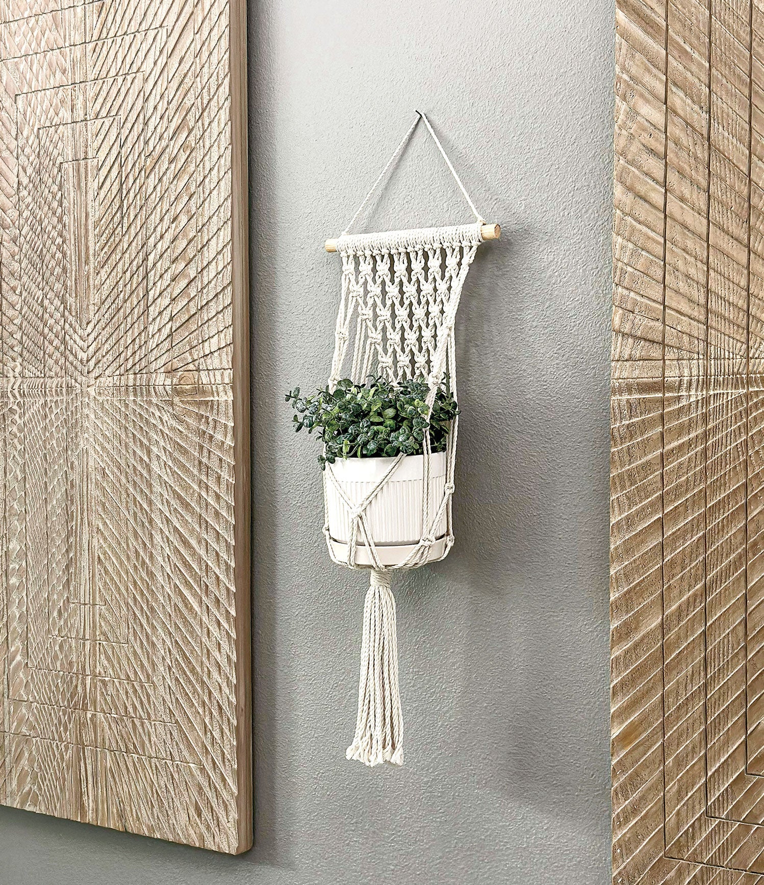 Hammock Macrame Plant Hanger