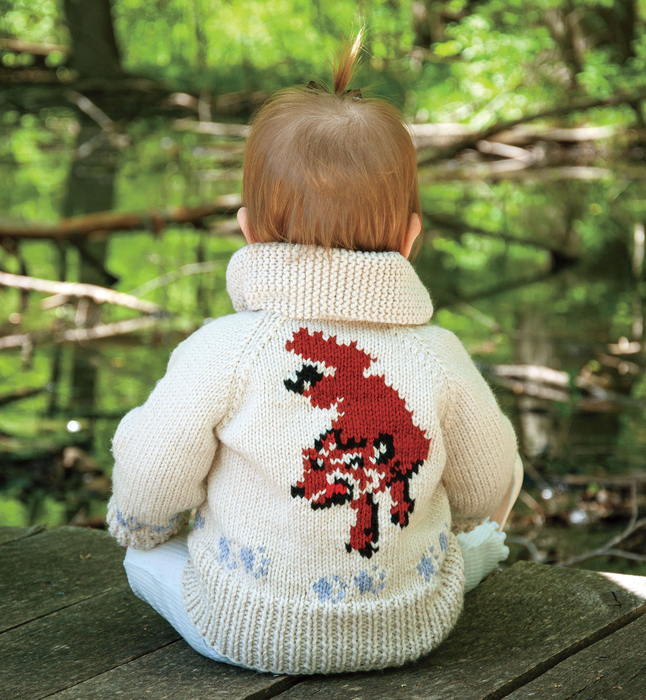 Child's Wolf Cardigan Knit Kit | Project Hail Mary Fox Sweater