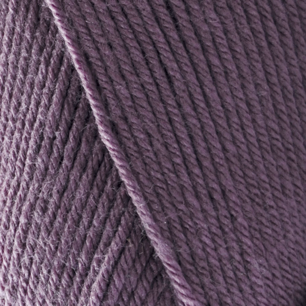 Papillion Bolero