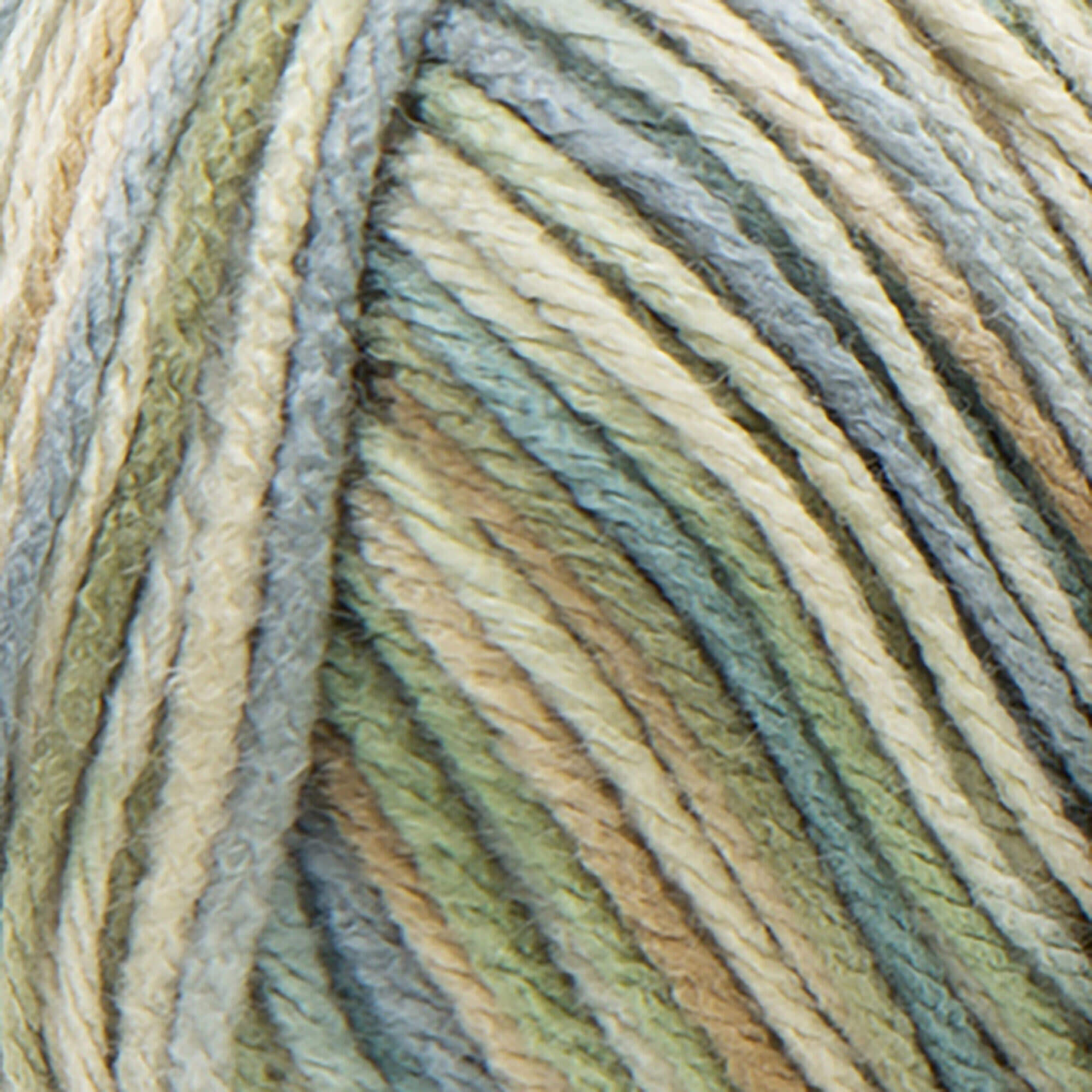 Red Heart Super Saver Stripes Yarn