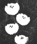 Crocheted Christmas Ornaments - Santa Faces Pattern