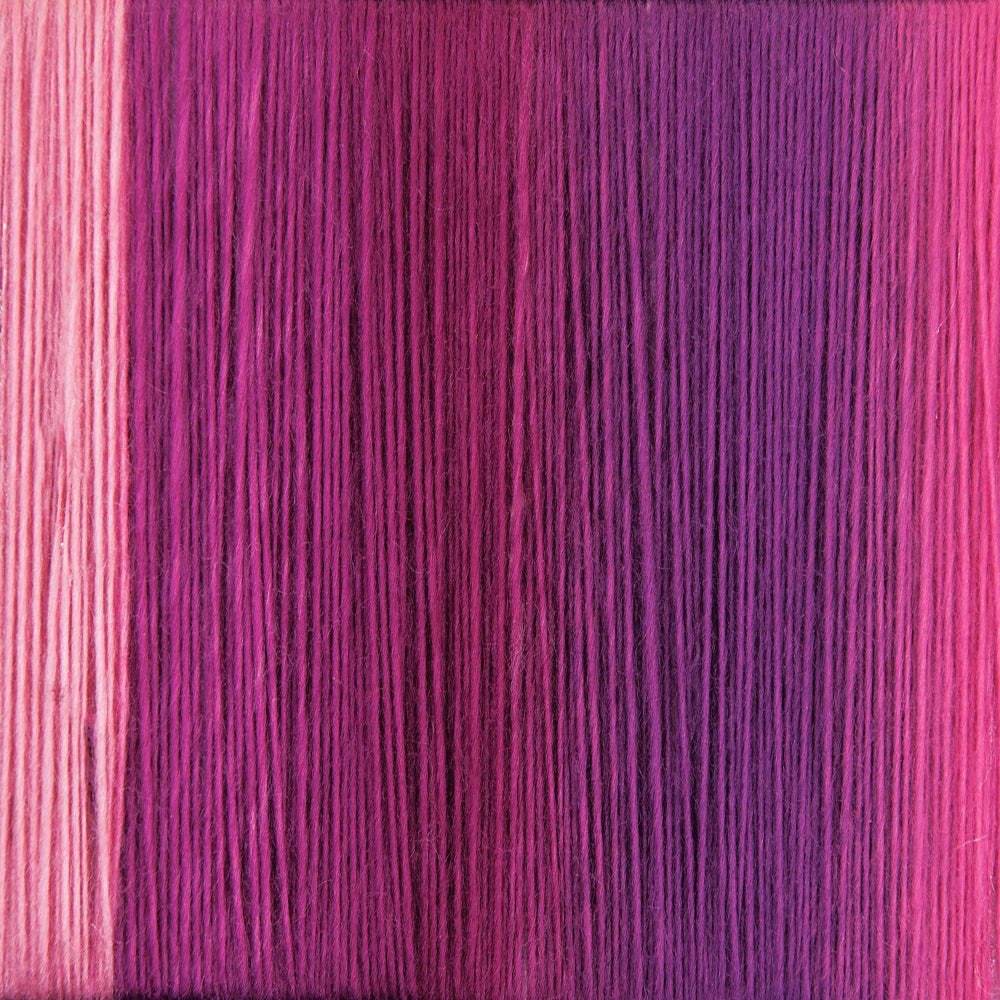 The Dreamer Afghan