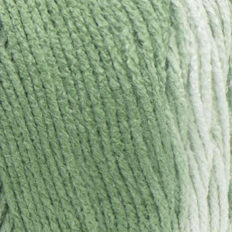 Red Heart Super Saver Ombre Yarn
